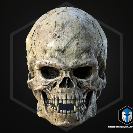 Wookiee Skull Wall Mount – Galactic Trophy Display